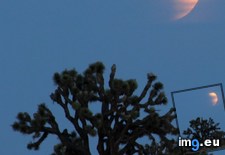 Tags: eclipse, joshua, lunar, tree (Pict. in My r/EARTHPORN favs)