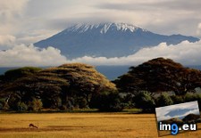 Tags: 1024x683, amboseli, foreground, gazelle, kenya, kilimanjaro, thomson (Pict. in My r/EARTHPORN favs)