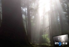 Tags: coast, oregon, trail (Pict. in My r/EARTHPORN favs)