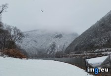 Tags: area, bald, delaware, eagle, flying, gap, mature, national, recreation, snowfall, water (Pict. in My r/EARTHPORN favs)