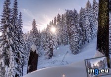 Tags: covered, lassen, national, park, shining, snow, sun, trees, volcanic (Pict. in My r/EARTHPORN favs)