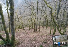 Tags: forest, germany, surreal (Pict. in My r/EARTHPORN favs)