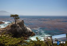 Tags: california, cypress, lone (Pict. in My r/EARTHPORN favs)