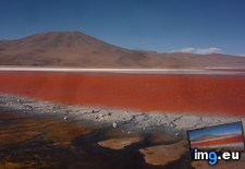 Tags: bolivia, colorada, colours, laguna, otherworldly (Pict. in My r/EARTHPORN favs)