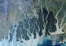 Tags: 2880x1920, area, bangladesh, dark, green, reserve, sundarbans (Pict. in My r/EARTHPORN favs)