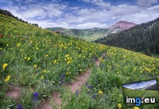 Tags: bells, bloom, colorado, maroon, wilderness, wildflower (Pict. in My r/EARTHPORN favs)