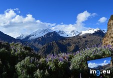 Tags: andes, machu, picchu, way, wildflowers (Pict. in My r/EARTHPORN favs)