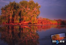 Tags: australia, kakadu, lagoon, national, northern, park, territory, water, yellow (Pict. in My r/EARTHPORN favs)