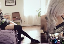 Tags: bowie, ecco, girls, hot, nature, porn, sexy, suicidegirls, tatoo, tits (Pict. in SuicideGirlsNow)