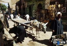 Tags: egyptian, streets (Pict. in National Geographic Photo Of The Day 2001-2009)