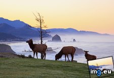 Tags: ecola, elk, haystck, oregon, park, rock, state, sunrise (Pict. in Beautiful photos and wallpapers)
