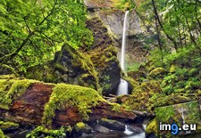 Tags: columbia, elowah, falls, gorge, oregon, river (Pict. in Beautiful photos and wallpapers)