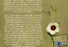 Tags: erte (Pict. in Wadie 0)