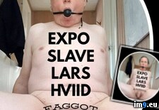 Tags: expo, faggot, hard, hviid, lars, slave (Pict. in Faggot Lars Hviid - hard exposure)