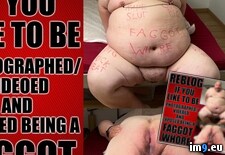 Tags: exposed, faggot, fat, oliver, webslut (Pict. in Chubmissive)