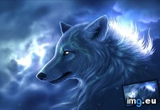 Tags: fantasy, moonlight, wolf (Pict. in 1920x1200 wallpapers HD)
