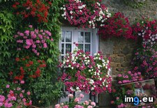 Tags: brittany, farmhouse, france, garden, summer (Pict. in Beautiful photos and wallpapers)