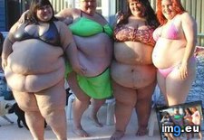 Tags: bikinis, fat, girls (Pict. in Florida Fatties)