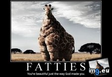 Tags: fatties, jokes, natures, s640x512 (Pict. in More Fatties)