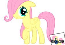 Tags: abluskittle, animated, d5frzin, filly, fluttershy, gif (GIF in Animated gifs 0)