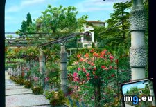 Tags: bel, florence, fonte, garden, riposo, trellis, villa (Pict. in Branson DeCou Stock Images)