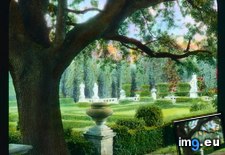 Tags: florence, garden, pietra, statuary, villa (Pict. in Branson DeCou Stock Images)