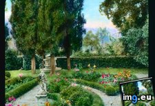Tags: florence, garden, rose, statuary, strozzino, villa (Pict. in Branson DeCou Stock Images)