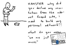 Tags: friendhamster, funny, meme (Pict. in Funny pics and meme mix)