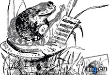 Tags: banjo, frog (Pict. in Westman Jams Images)
