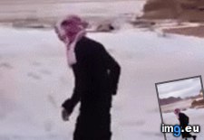 Tags: funny, gifs (GIF in My r/FUNNY favs)