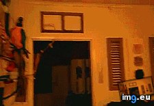 Tags: funny, kinds, parrots (GIF in My r/FUNNY favs)