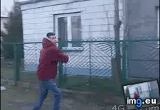 Tags: funny, gifs, instant, karma (GIF in My r/FUNNY favs)