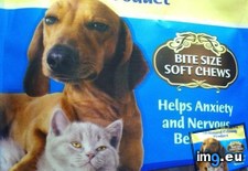 Tags: calming, funny (Pict. in My r/FUNNY favs)