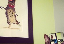 Tags: cat, did, funny, painting, photo (Pict. in My r/FUNNY favs)