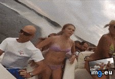 Tags: collection, favorite, funny, gifs, redditing, two, years (GIF in My r/FUNNY favs)