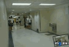 Tags: collection, favorite, funny, gifs, redditing, two, years (GIF in My r/FUNNY favs)