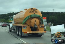 Tags: funny (Pict. in My r/FUNNY favs)