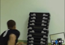 Tags: funny, perfect (GIF in My r/FUNNY favs)