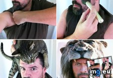 Tags: funny (Pict. in My r/FUNNY favs)