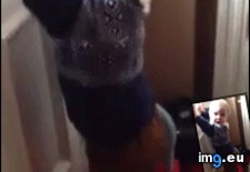 Tags: began, funny, hatred, lifelong, mailmen, timmy (GIF in My r/FUNNY favs)