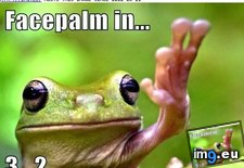 Tags: amphibian, animal, capshunz, captions, facepalm, funny (Pict. in LOLCats, LOLDogs and cute animals)