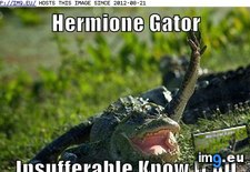 Tags: animal, capshunz, captions, funny, severus, snake (Pict. in LOLCats, LOLDogs and cute animals)