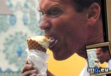 Tags: arnold, cream, funny, ice, terminates (Pict. in My r/FUNNY favs)