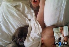 Tags: asleep, family, funny (Pict. in My r/FUNNY favs)