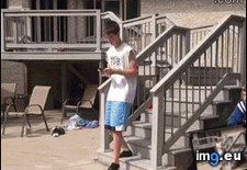 Tags: assholes, funny (GIF in My r/FUNNY favs)