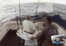 Tags: attack, fish, funny, game, killer (GIF in My r/FUNNY favs)