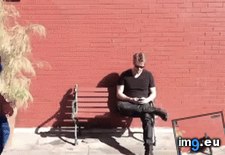 Tags: average, day, funny, park (GIF in My r/FUNNY favs)