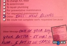 Tags: awesome, funny (Pict. in My r/FUNNY favs)