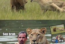 Tags: funny, man, real (Pict. in My r/FUNNY favs)