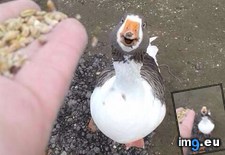 Tags: day, funny (Pict. in My r/FUNNY favs)